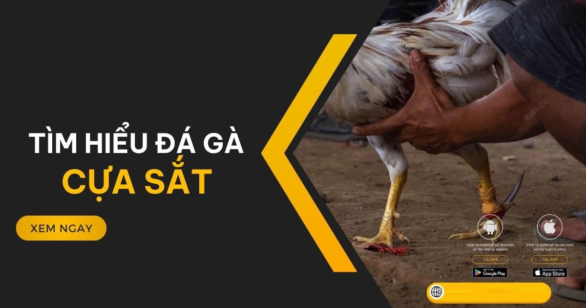 photo 2024 08 09 19 06 27